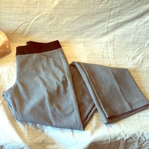 Express Editor Pants